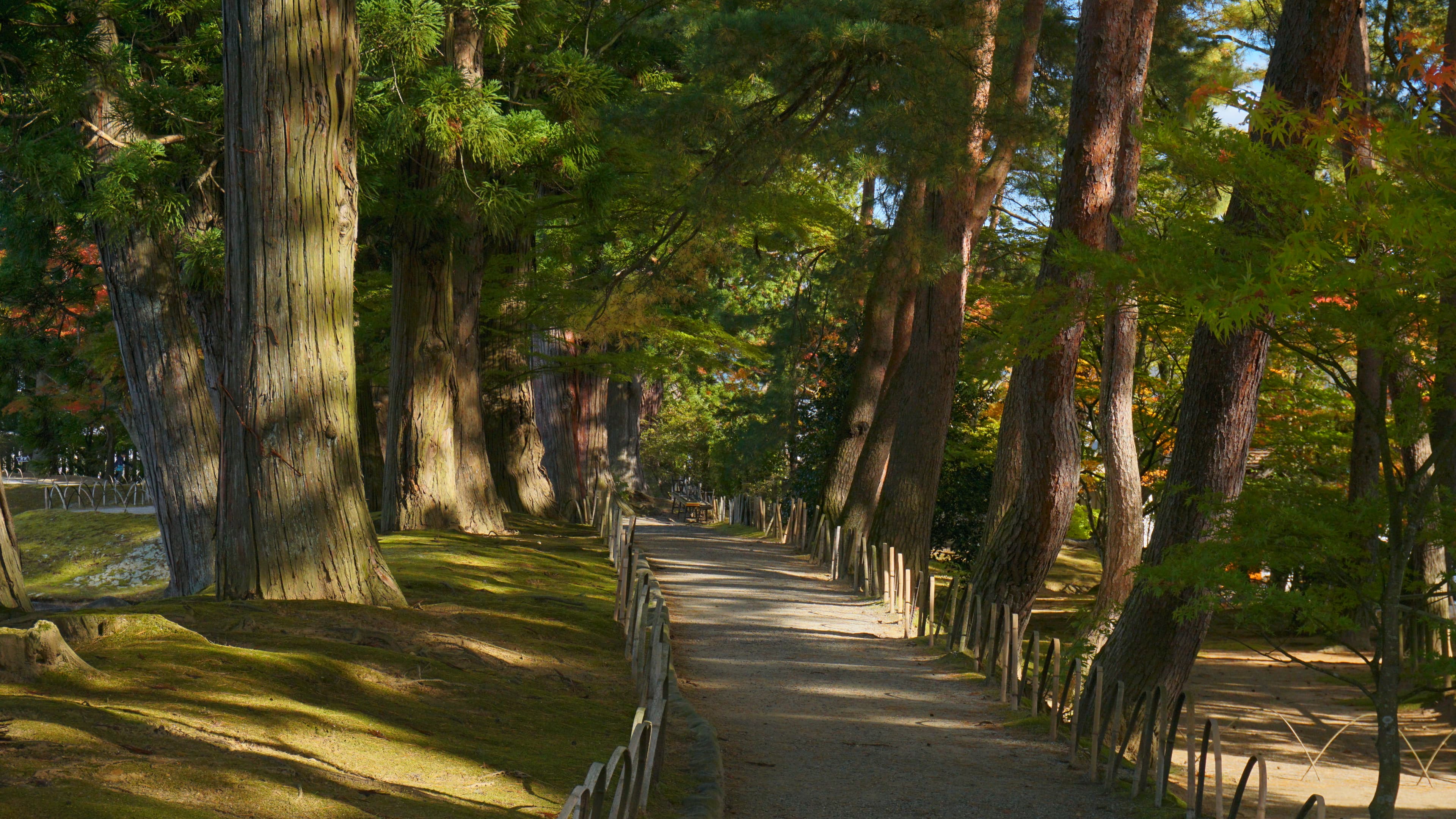 Motsu-ji Pure Land Garden representing the sacred landscape of Hiraizumi.